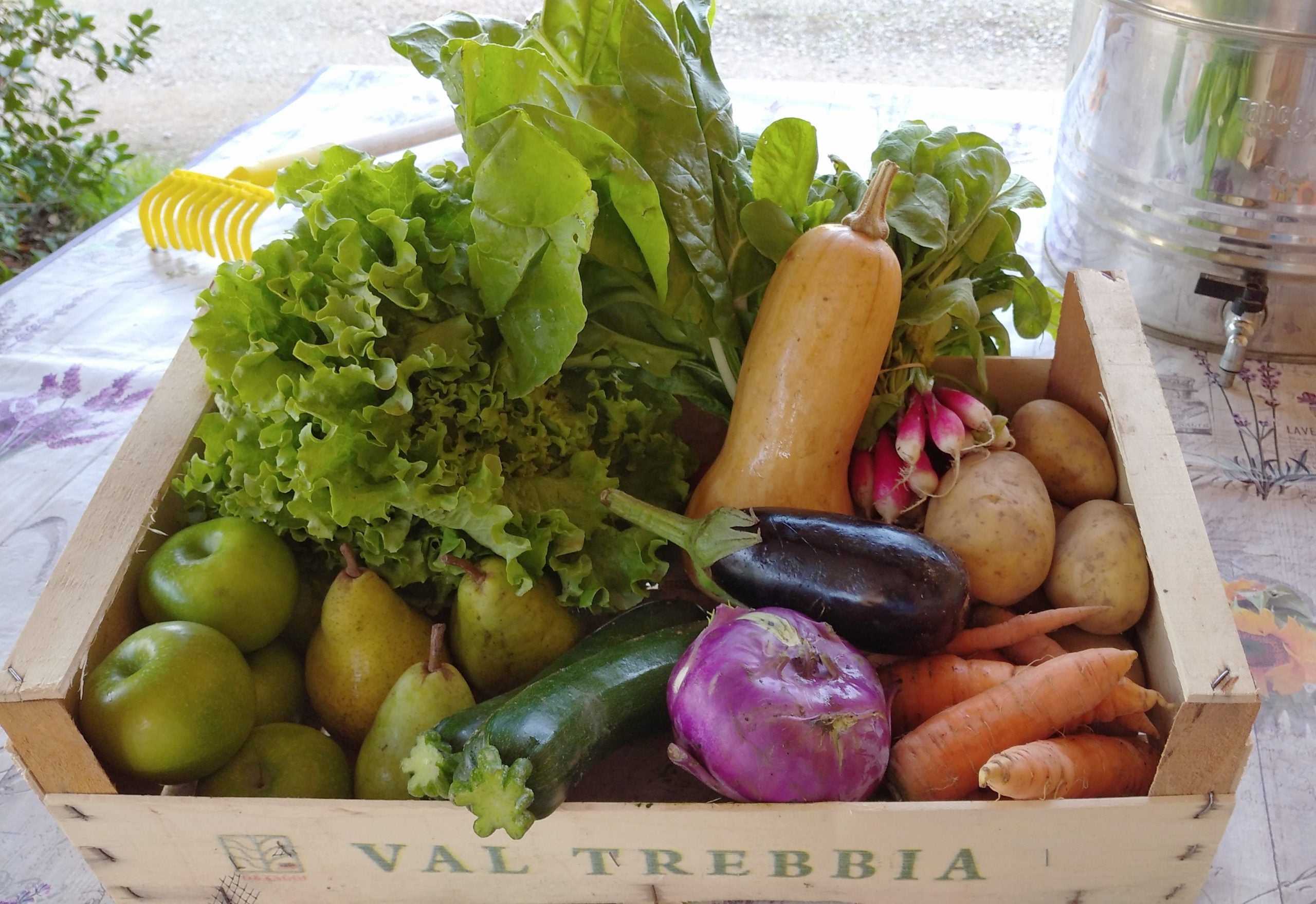 Panier de fruits et légumes à la semaine.