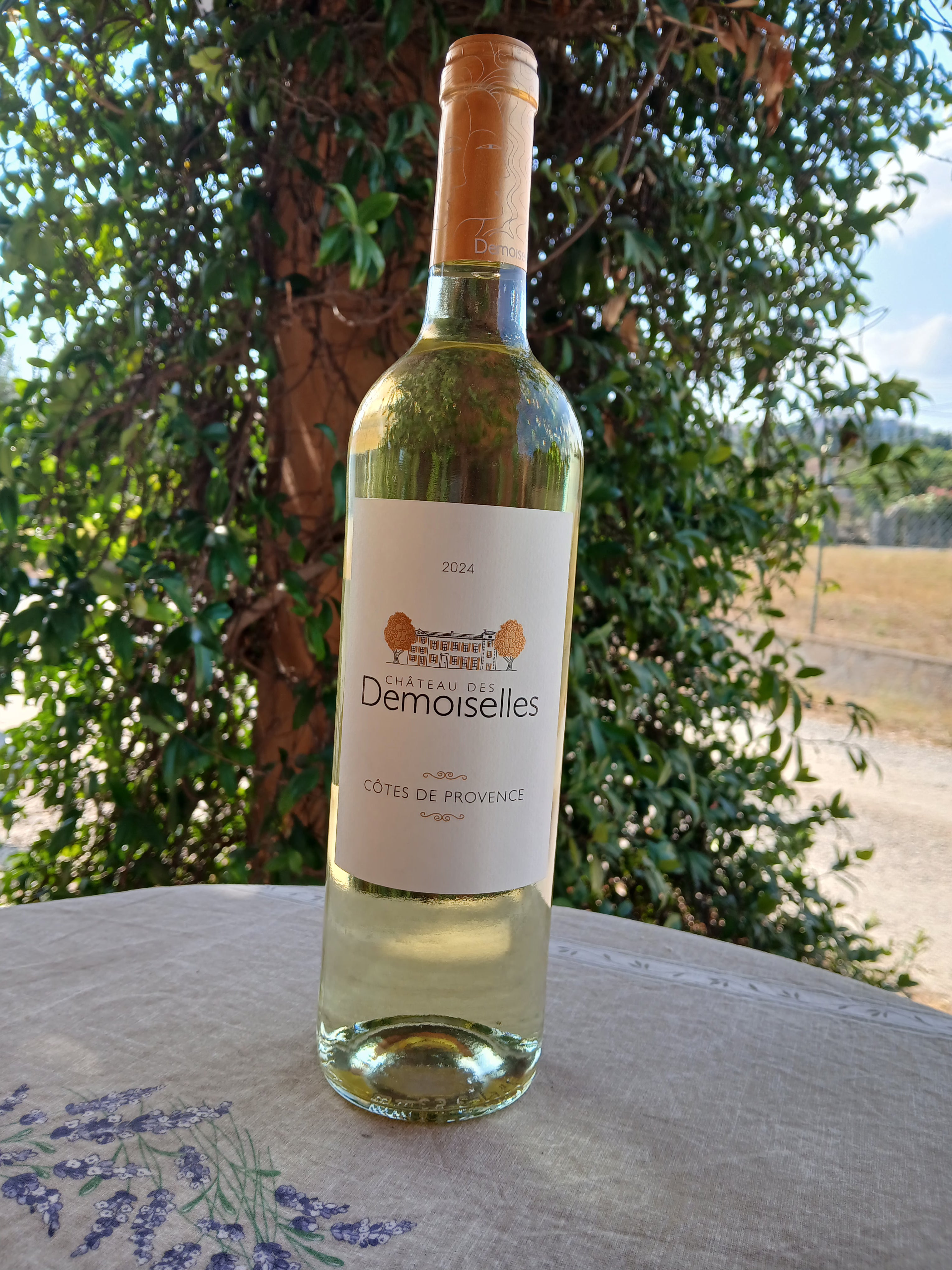 Château des demoiselles blanc 75cl