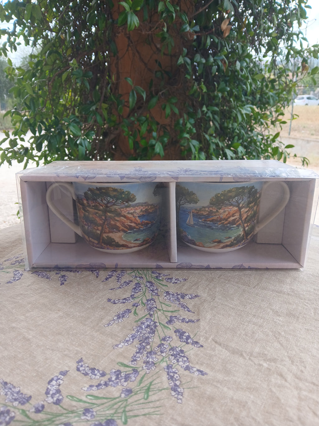 Coffret de 2 tasses