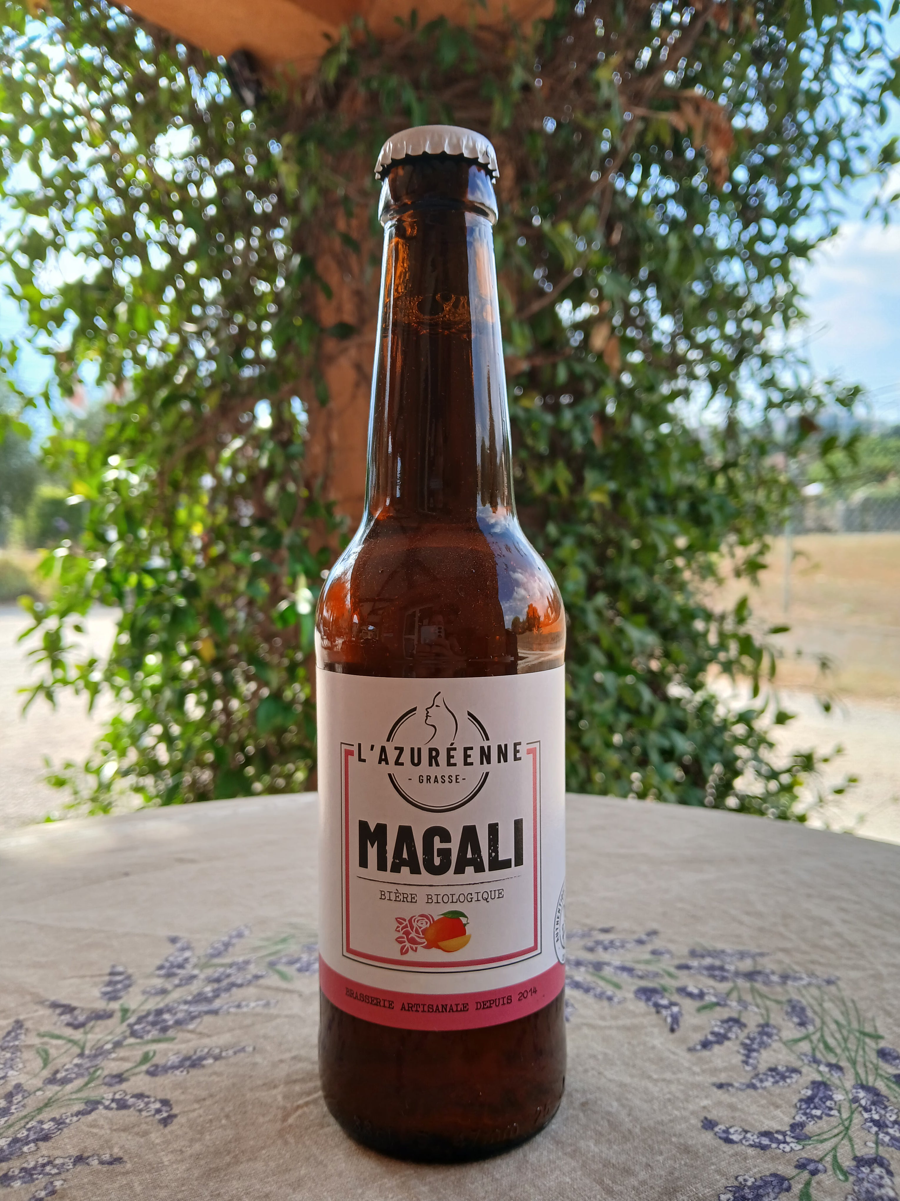 Bière BIO 33cl