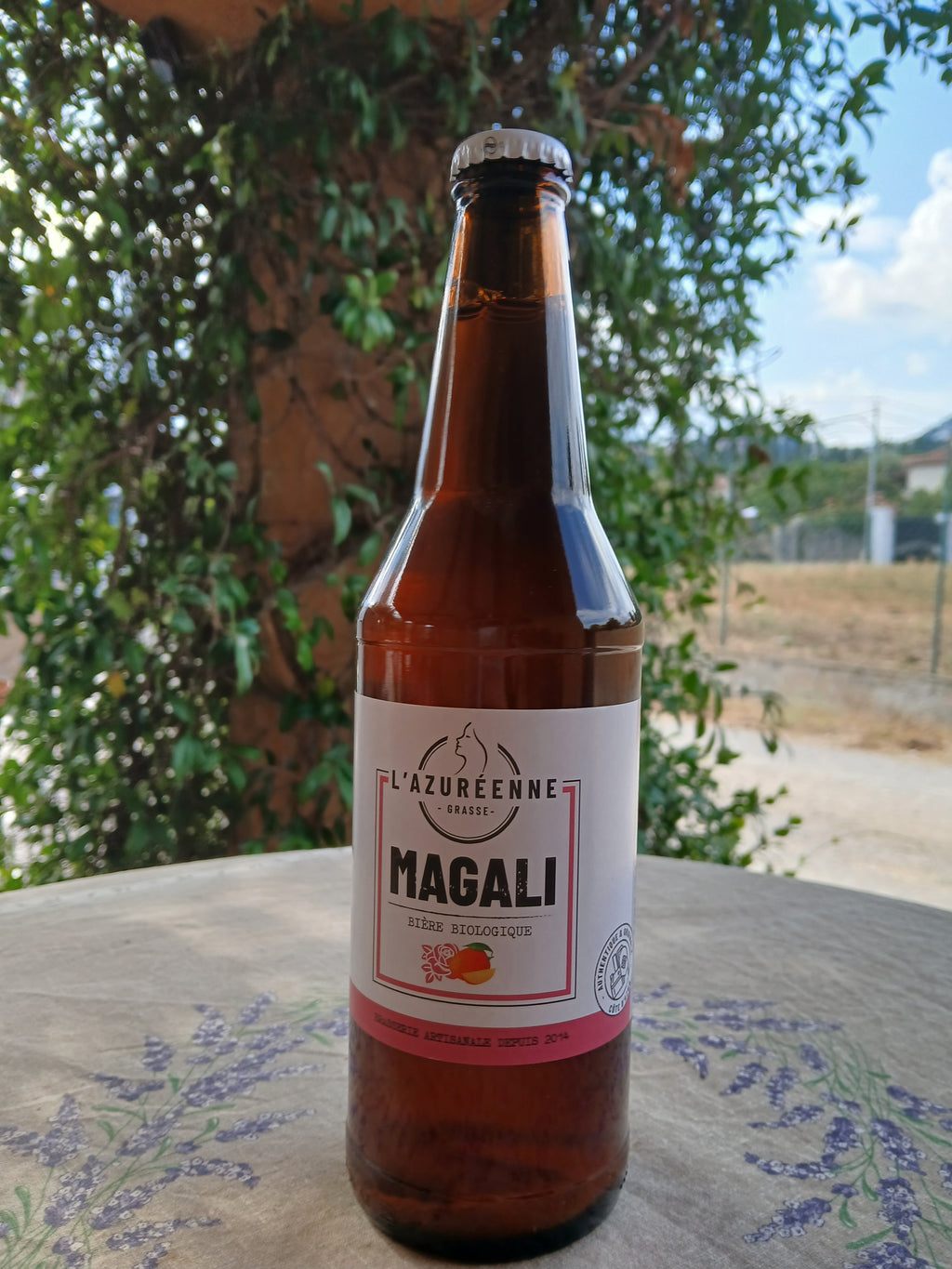 Bière BIO 50cl