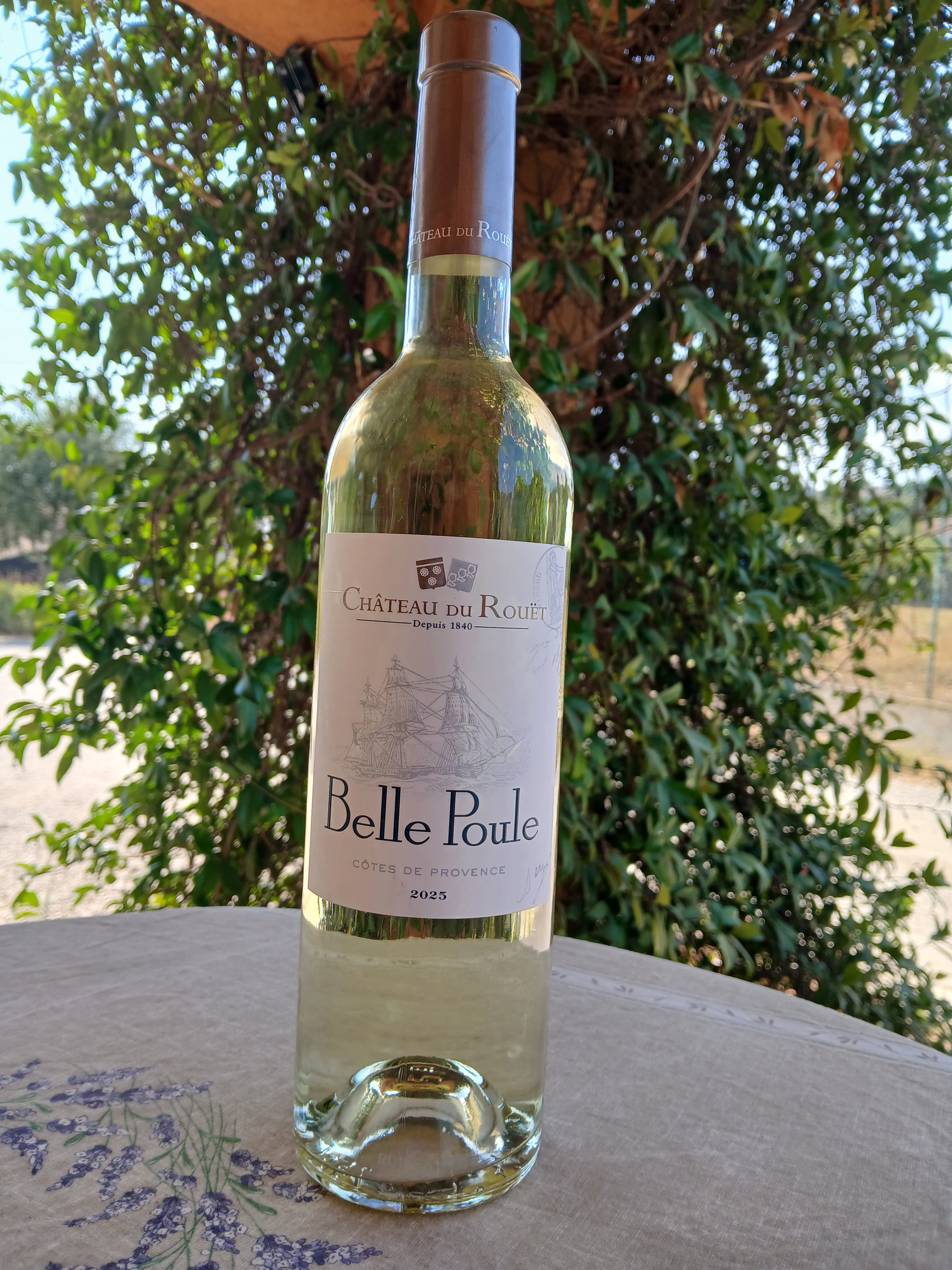 Belle Poule blanc 75cl