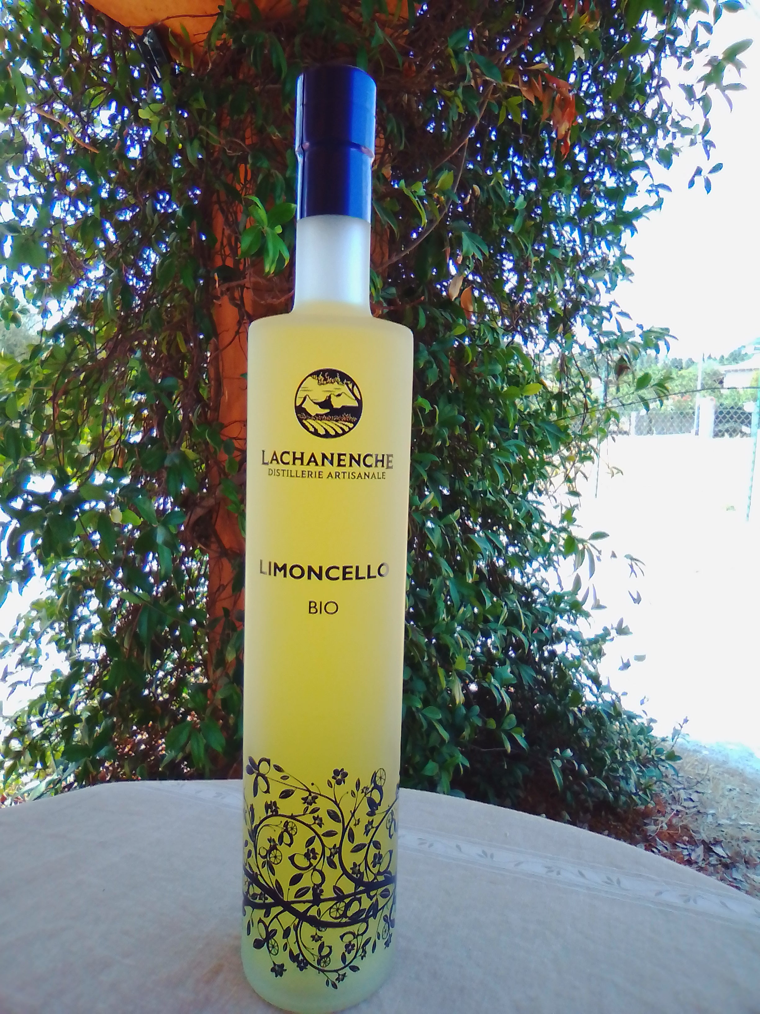 Limoncello Bio, 50cl