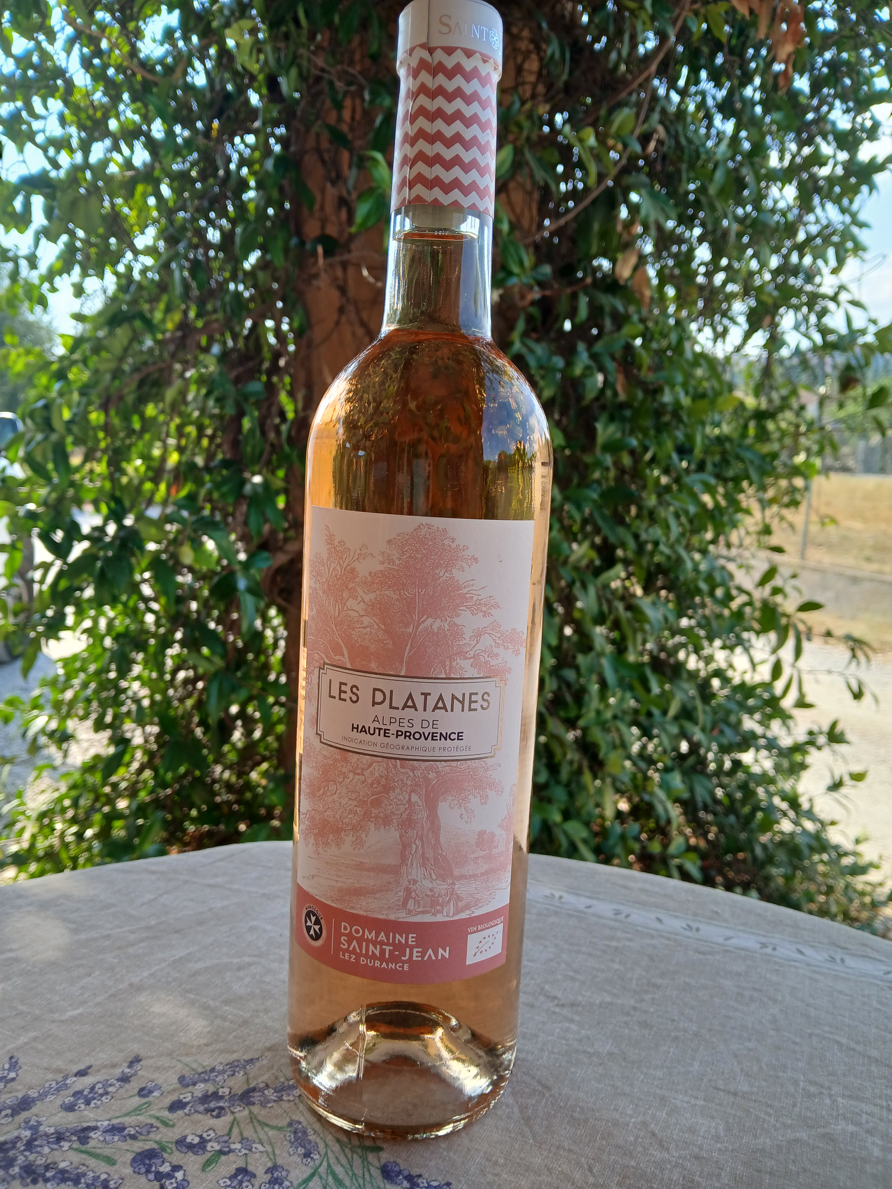 Les Platanes bio rosé 75cl